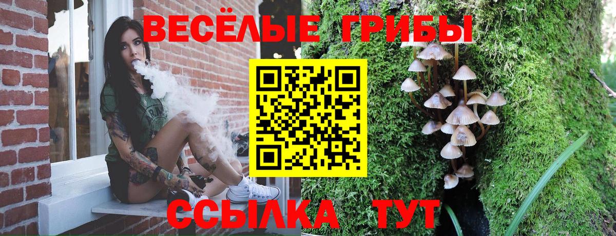 Псилоцибиновые грибы Magic Shrooms  даркнет сайт  Абинск  Псилоцибиновые грибы Cubensis  Вход с VPN 