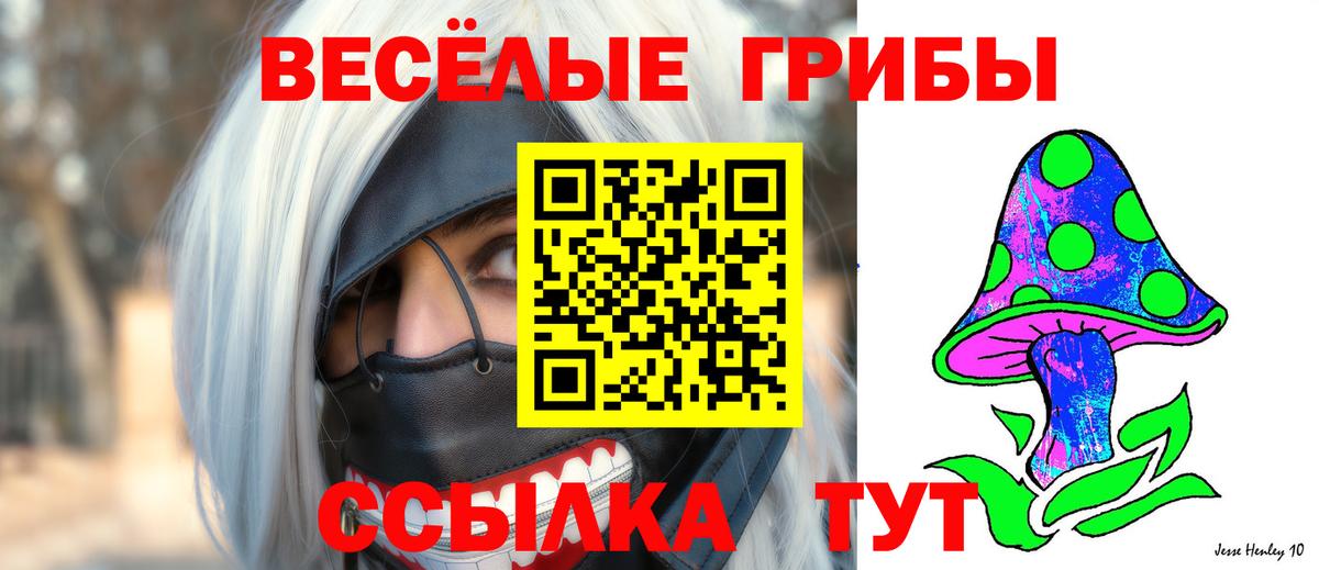 Псилоцибиновые грибы мицелий Абинск